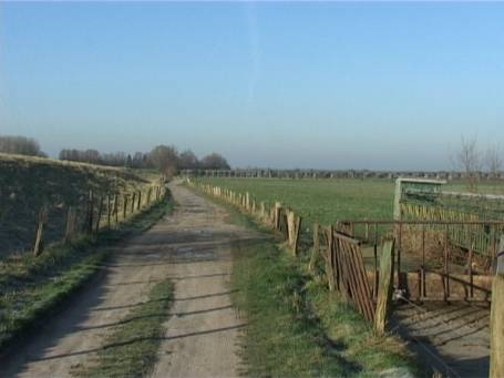 Wesel : Deichvorland am Rhein in Wesel